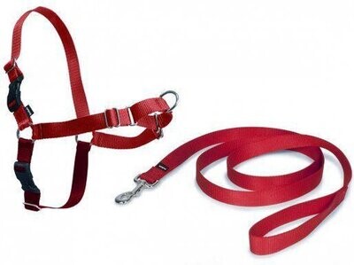 PetSafe Easy Walk® - Hondentuigje NU 1+1 GRATIS