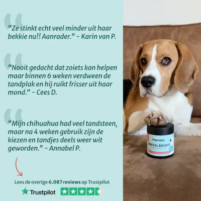 Dogsuppy Dental Bright | Frisse adem &amp; gezond gebit | 100% natuurlijk | 60 schepjes