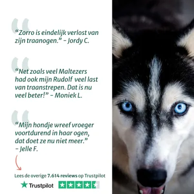 Dogsuppy Oogdruppels &amp; Traansmeerverwijderaar | 100% natuurlijk | 100 ml