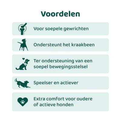 Dogsuppy Heup en gewrichten