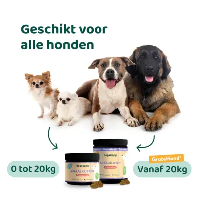 Dogsuppy Anaalklieren Grote Hond