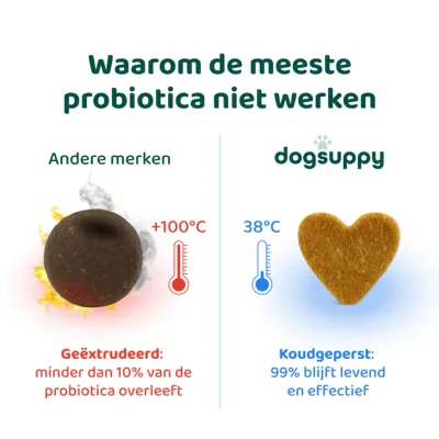 Dogsuppy Probiotica Forte | Voor een optimale darmgezondheid Grote Hond