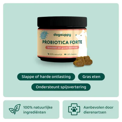 Dogsuppy Probiotica Forte | Voor een optimale darmgezondheid Grote Hond