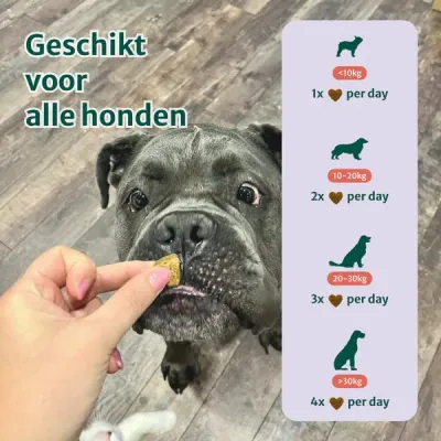 Dogsuppy Anti-Stress &amp; Angst Grote Hond