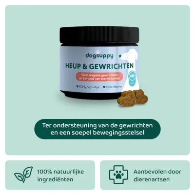 Dogsuppy Heup en gewrichten Grote Hond