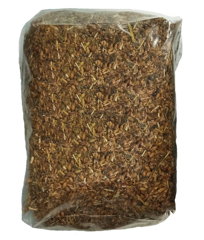 Sac nutritif spécial morilles