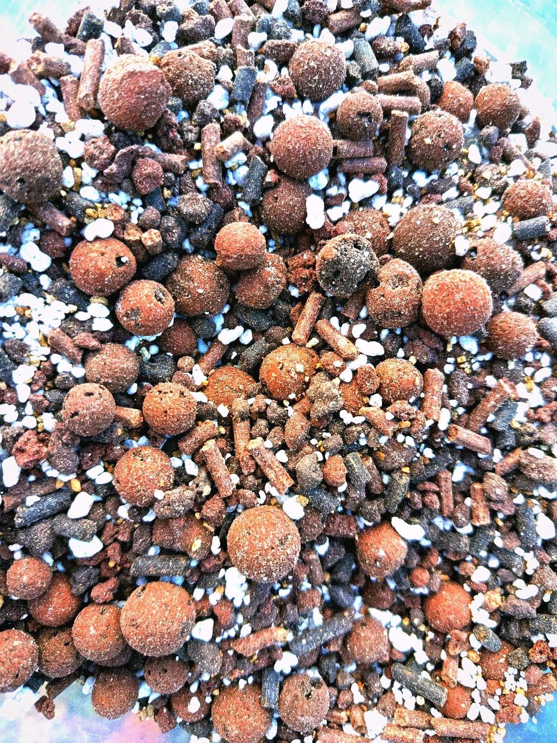 Complément de culture spécial morilles 25Kg Complément de culture spécial morilles 25Kg