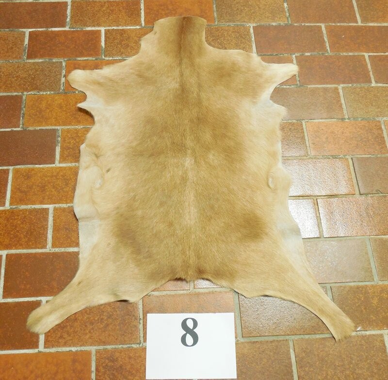 Ziegenfell Nr.8