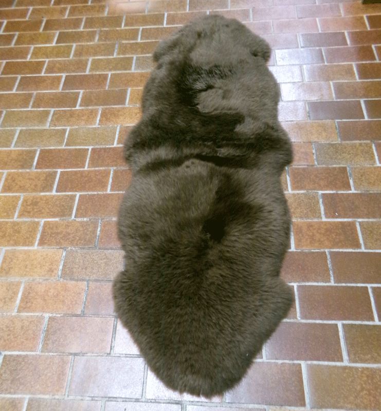 Doppelfell, Braun, 180cm