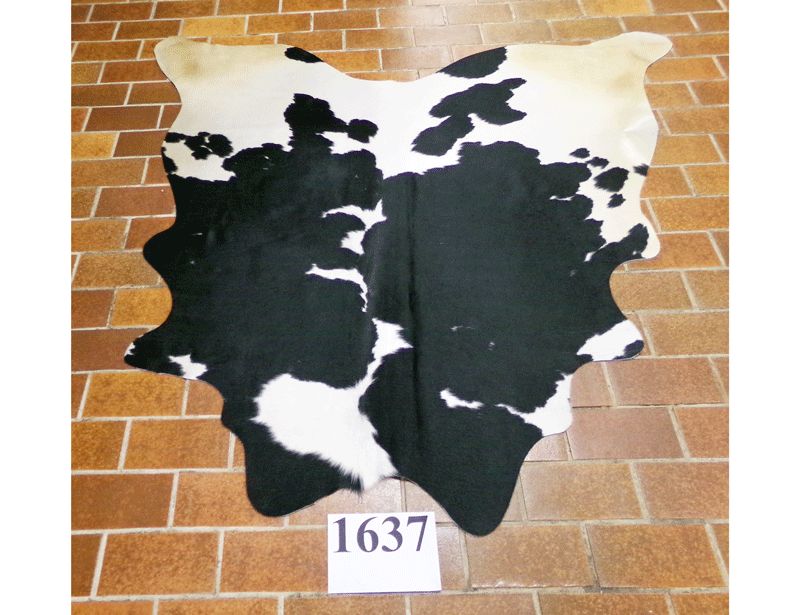 kleines Kuhfell (Nr.1637)