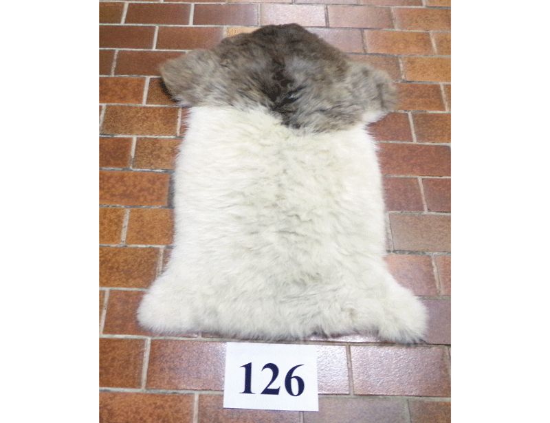 Unikat-Schaffell Nr.126, weißgegerbt