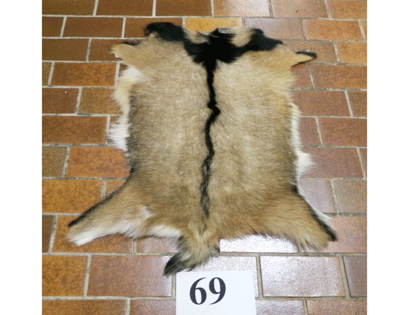 Ziegenfell Nr.69, mit Löchern