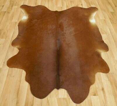 Einfarbig-Rotbraun (Rotes Angus-Rind)