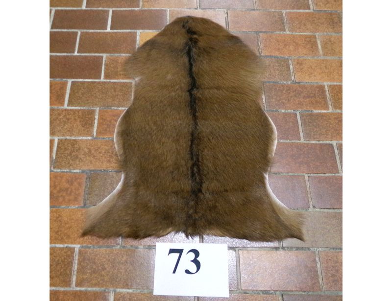 Ziegenfell Nr.73