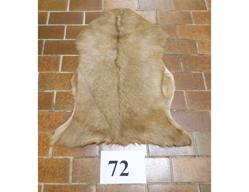 Ziegenfell Nr.72