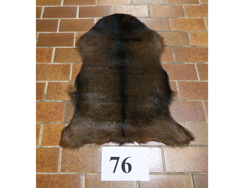 Ziegenfell Nr.76