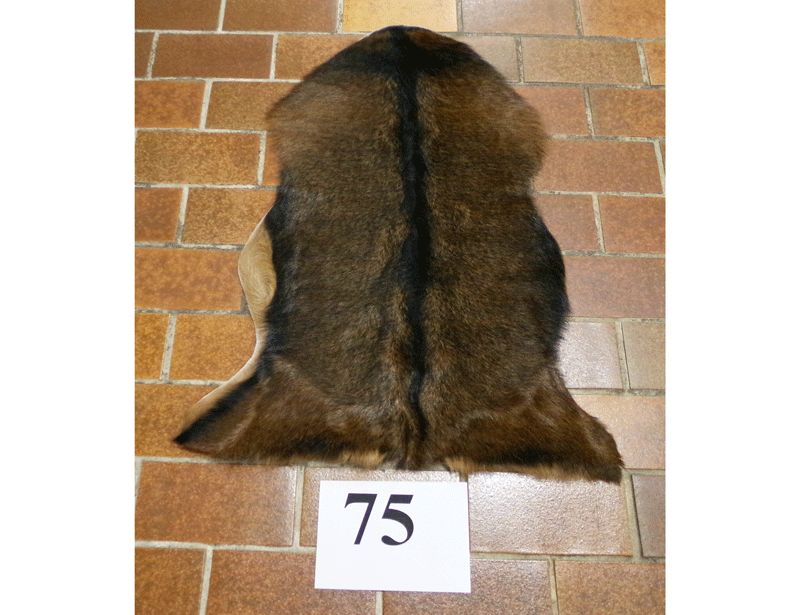 Ziegenfell Nr.75