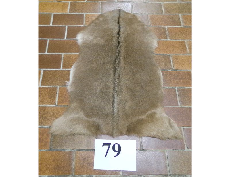 Ziegenfell Nr.79