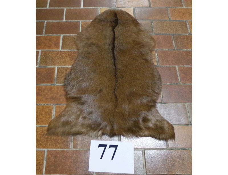 Ziegenfell Nr.77