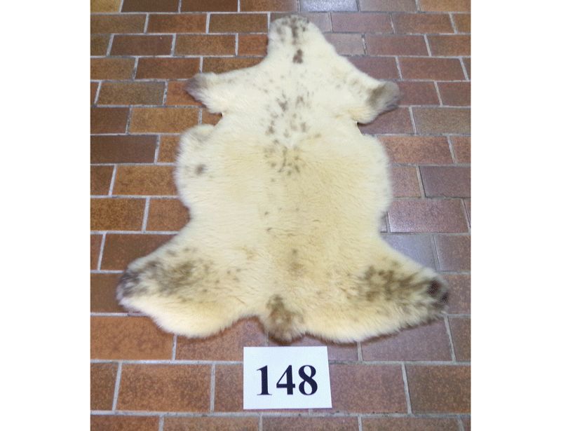 Unikat-Schaffell Nr.148-Medizinisch gegerbt