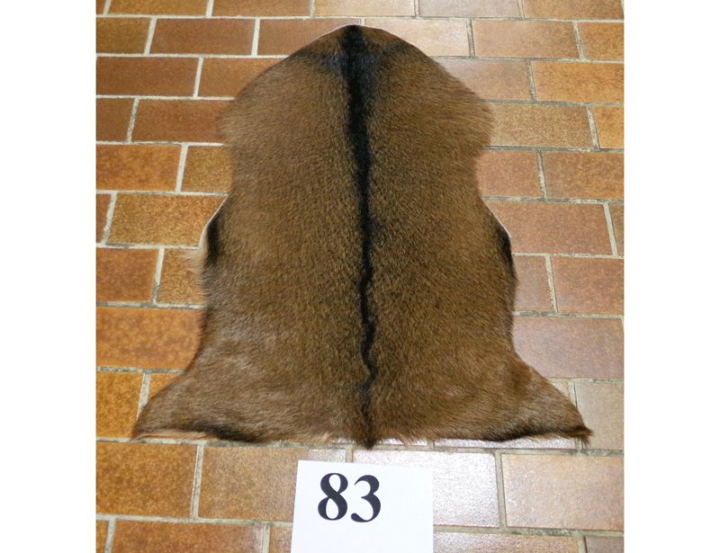 Ziegenfell Nr.83