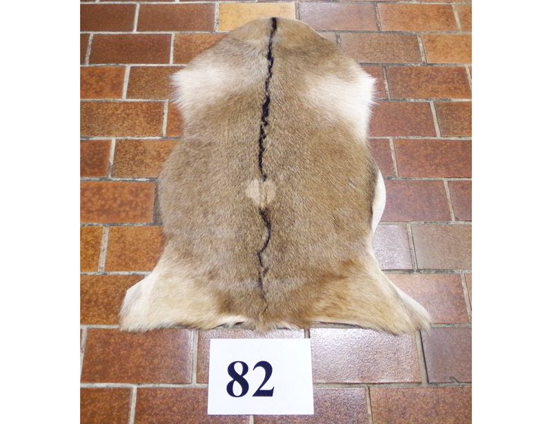 Ziegenfell Nr.82