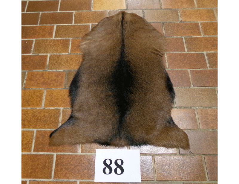 Ziegenfell Nr.88