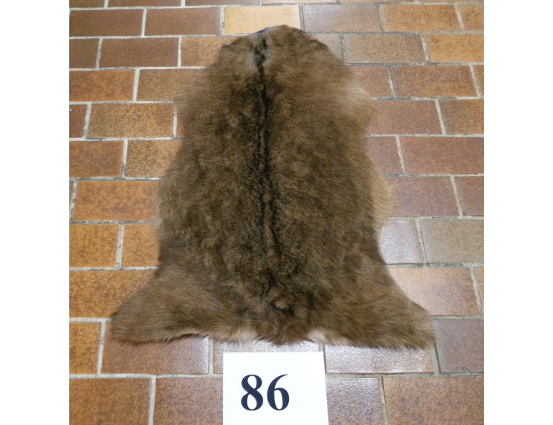 Ziegenfell Nr.86
