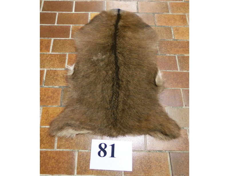 Ziegenfell Nr.81