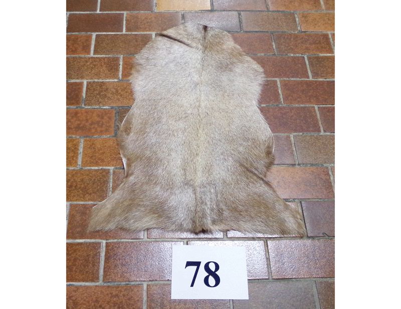 Ziegenfell Nr.78