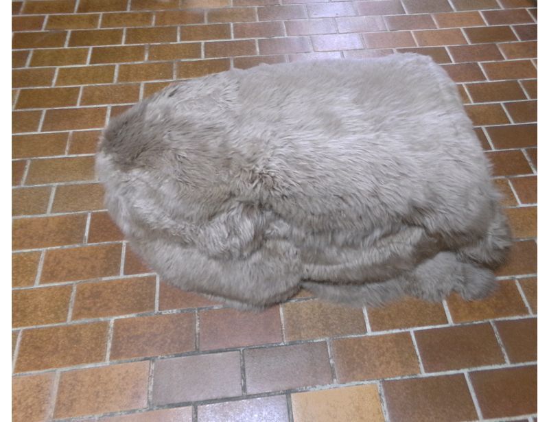 Schaffell, Hell-Braun