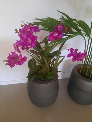 Kunst Orchidee op mosbal
