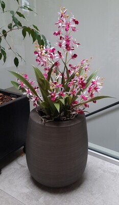 Kunst Orchidee Dancing Orchid