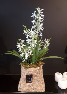 Kunstplant DANCING ORCHID X 5 IN POT H 63 CM