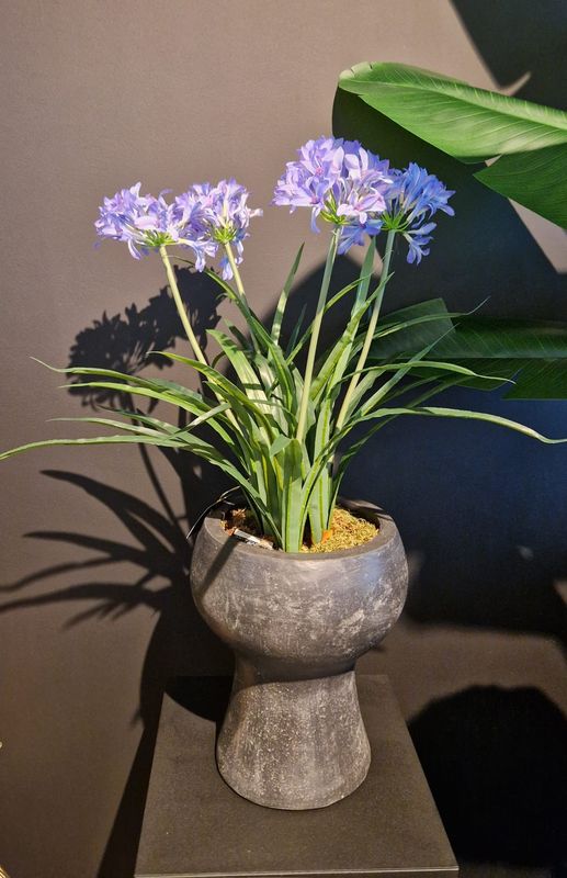 Kunstplanten