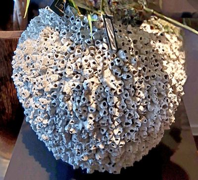 Schelpenpot medium H35 dia 35cm kleine opening