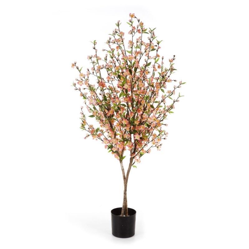 Cherry blossom tree