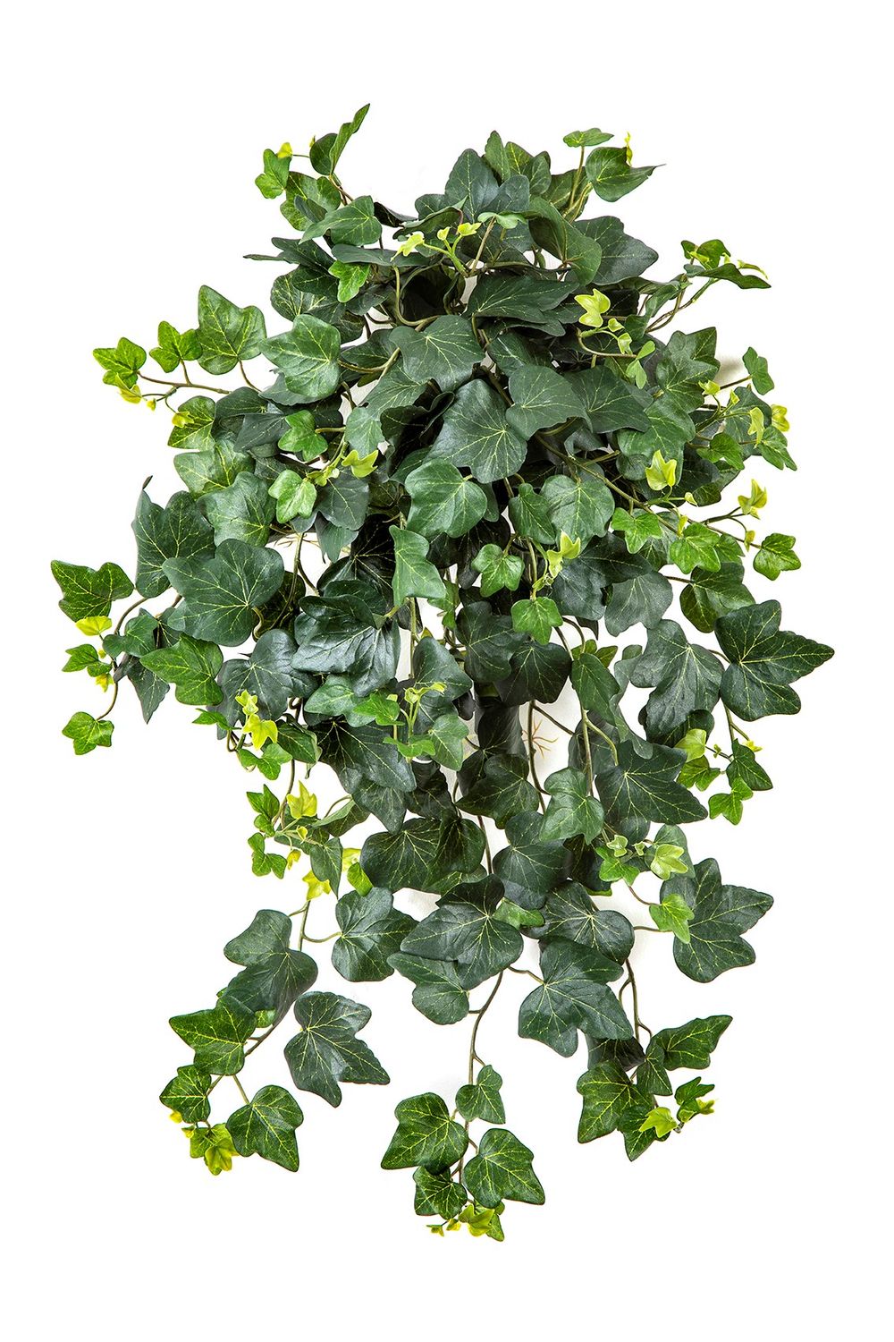 Hangklimop UV bestendig