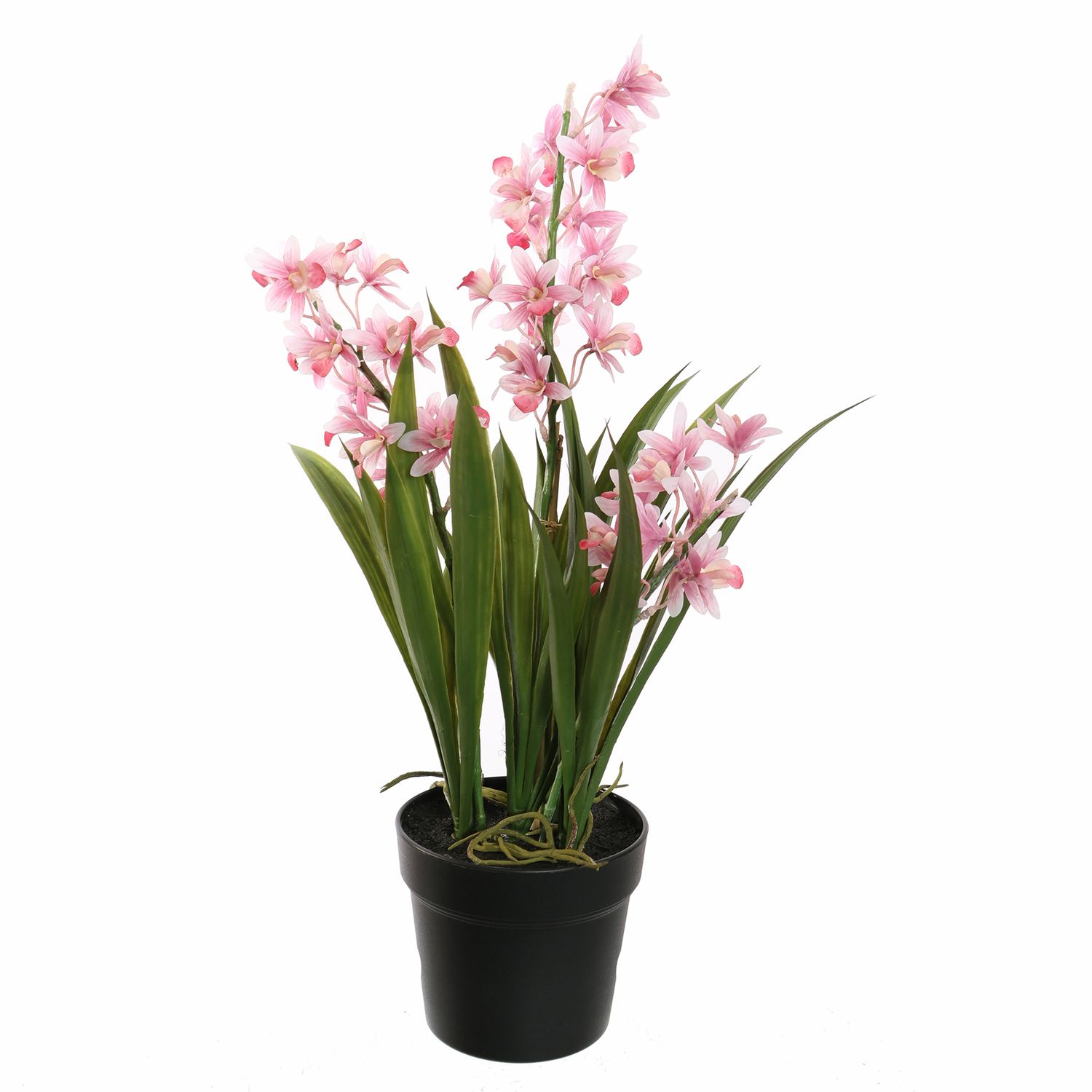 Cymbidium Orchidee 60cm roze