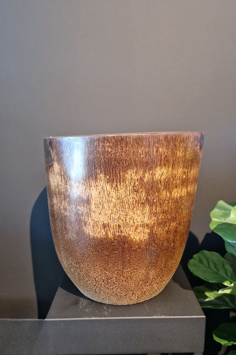 Palmboompot Bruin
