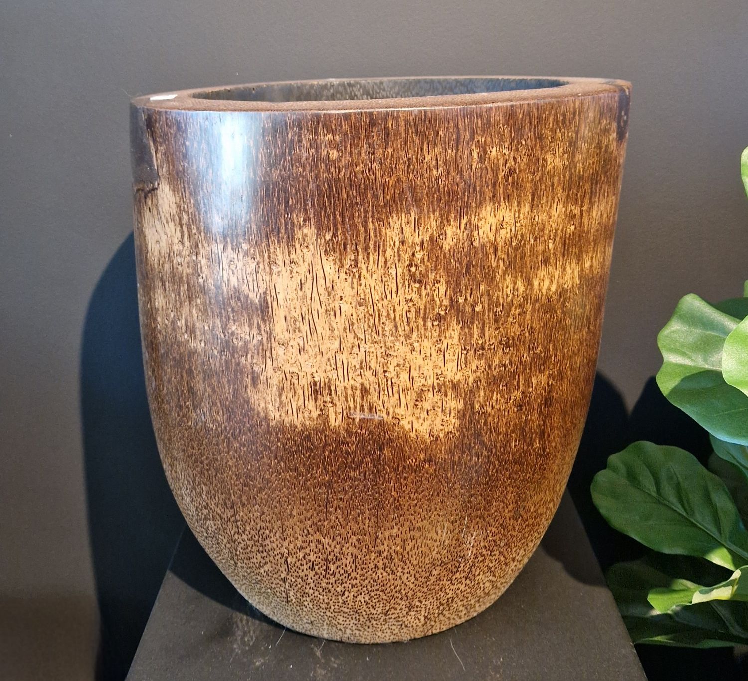 Palmboompot Bruin