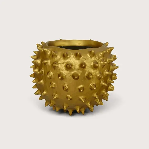 Pot &amp; Vaas - Pot Spike Goud