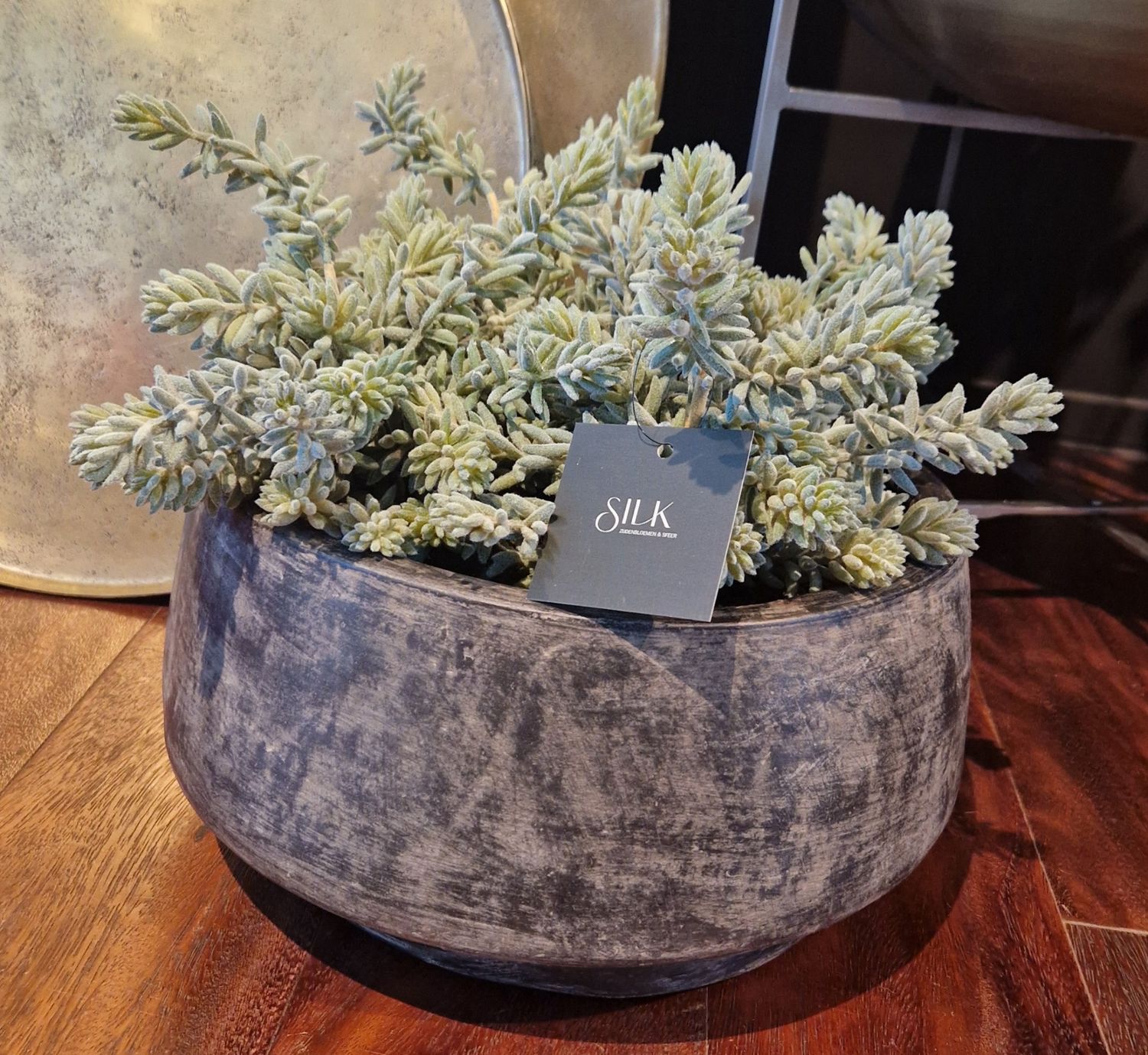 Sedum Bush