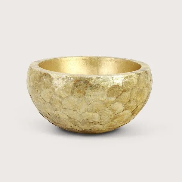 Pot &amp; Vaas - Capiz Goud