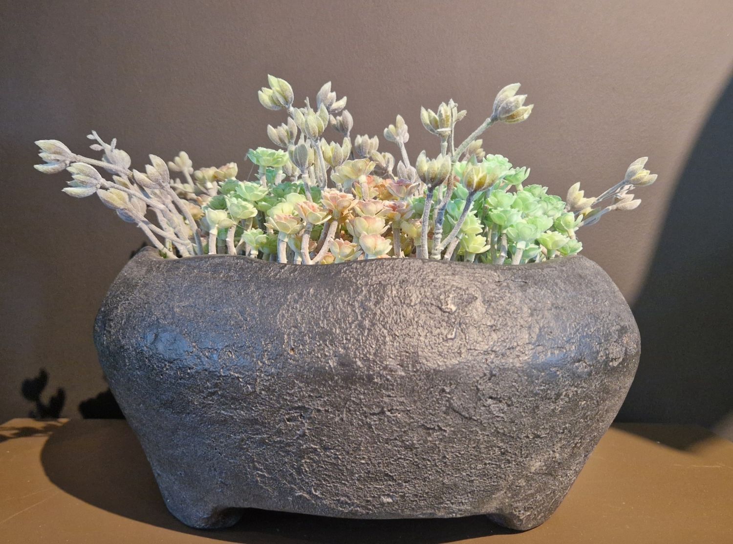 Gommaire bowl Gondo met kunst Echeveria