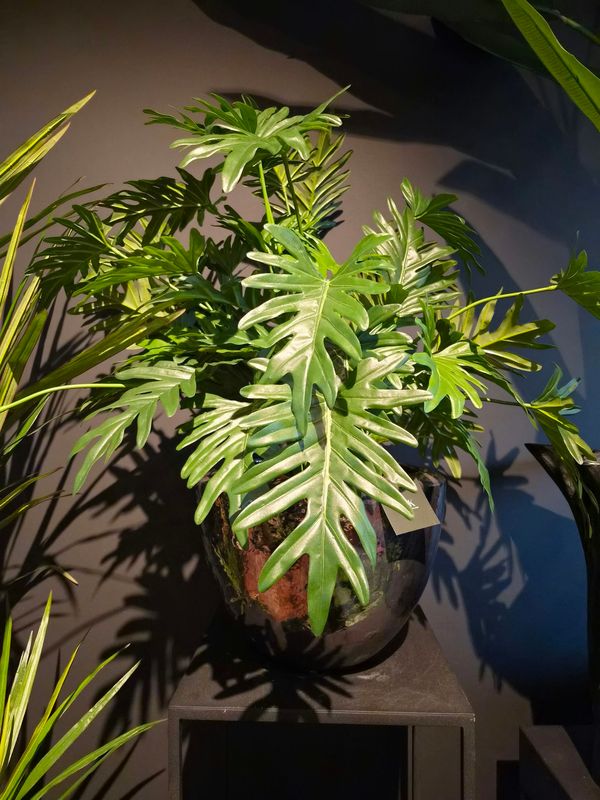 Kunstplanten