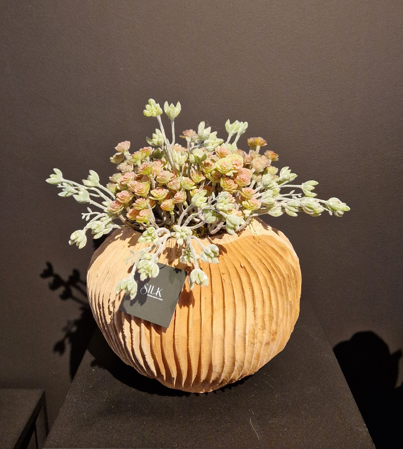 Houten ribbelpot met vetplantjes