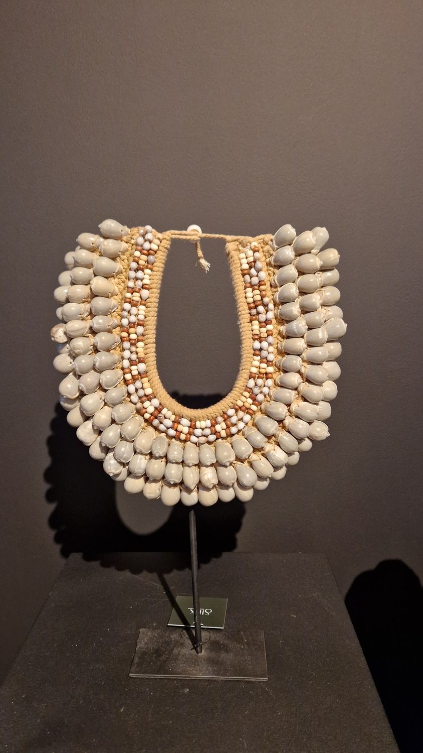 Decoratieve Ketting met 2 soorten schelpen