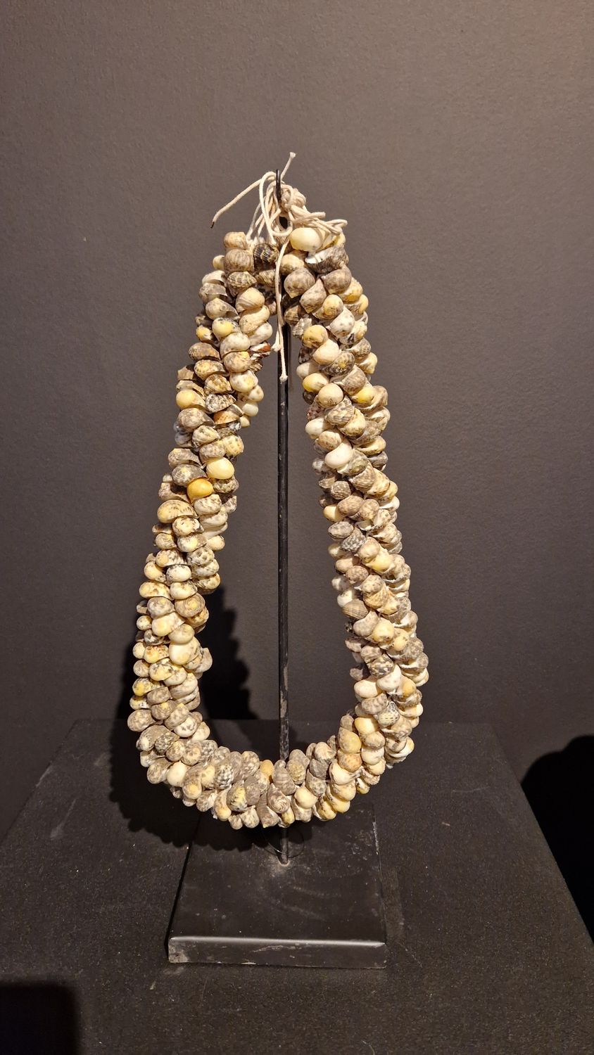 Decoratieve ketting van verweerde schelpen op standaard