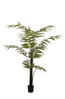 Leather Fern Tree 130cm Green